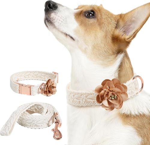 Das Komfort-Hundehalsband, Hundehalsband und Leine-Set for Mädchen, Baumwoll-Spitzen-Hundehalsband mit Blume, bequem, verstellbare Hundehalsbänder mit Metallschnalle for kleine, mittelgroße und große von HAFEISI