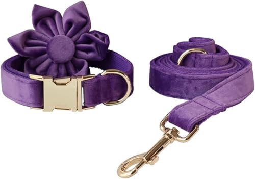 Die Komfort-Hundehalsbänder, Frühlingsblumen-Hundehalsbänder, lila, abnehmbares Hundehalsband mit Blumengeschenk, Haustierhalsband, verstellbares Hundehalsband for kleine, mittelgroße und große Hunde( von HAFEISI