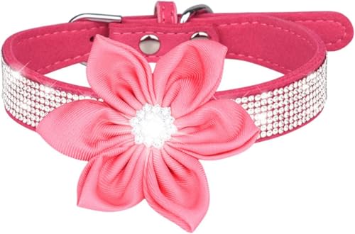 Die Komfort-Hundehalsbänder, süßes Mädchen-Strass-Hundehalsband, weiches Blumen-Welpenhalsband, reflektierend, personalisiertes Hundehalsband for kleine, mittelgroße und große Hunde(Pink,L) von HAFEISI