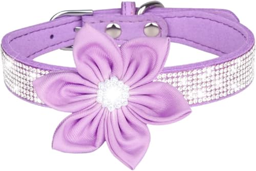 Die Komfort-Hundehalsbänder, süßes Mädchen-Strass-Hundehalsband, weiches Blumen-Welpenhalsband, reflektierend, personalisiertes Hundehalsband for kleine, mittelgroße und große Hunde(Purple,L) von HAFEISI