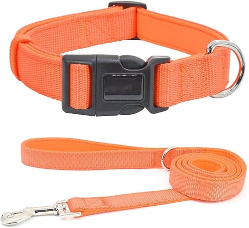 Die komfortablen Hundehalsbänder, langlebiges taktisches Hundehalsband-Leine-Set, personalisiertes Nylon-Hundehalsband, militärische Trainingshundehalsbänder for kleine, mittelgroße und große Hunde(Or von HAFEISI