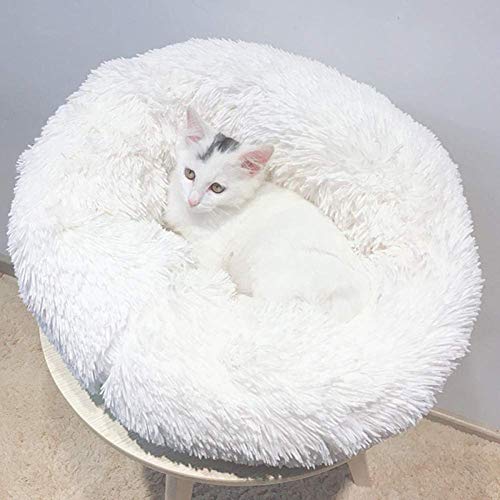 HAFEISI Kleines Haustierbett, Hundebett for kleine und mittelgroße Haustiere, Donut-Kuschelbett aus Kunstfell, selbstwärmendes Kätzchensofa, weiches Welpenkissen for besseren Schlaf,(White,100cm) von HAFEISI