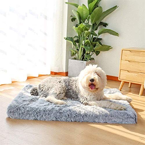 HAFEISI Kleines Haustierbett, orthopädisches großes Hundekissen mit Memory Foam-Hundematratze, ergonomisches Design, waschbar, rutschfestes Hundebett for kleine, mittelgroße und große Hunde(Grey,M) von HAFEISI