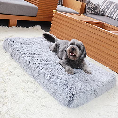 Kleines Haustierbett, großes orthopädisches Hundebett, weiche Plüschmatratze for Haustiere, Memory Foam-Sofa mit abnehmbarem, waschbarem Bezug, Mattenkissen for große Katzen und Hunde(Grey,120x80x10CM von HAFEISI