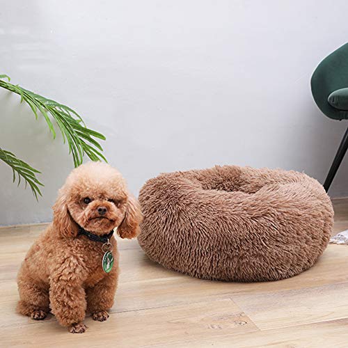 Kleines Haustierbett, luxuriöses Hundebett, orthopädisch, bequemes Donut-Kuschelkissen for Hunde, weiche, warme Zwingermatten, wasserdichtes Haustierbett for große, extra große Hunde,(Coffee,Diameter: von HAFEISI