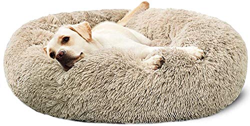 Kleines Haustierbett, luxuriöses Hundebett, orthopädisch, bequemes Donut-Kuschelkissen for Hunde, weiche, warme Zwingermatten, wasserdichtes Haustierbett for große, extra große Hunde,(Beige,Diameter:1 von HAFEISI