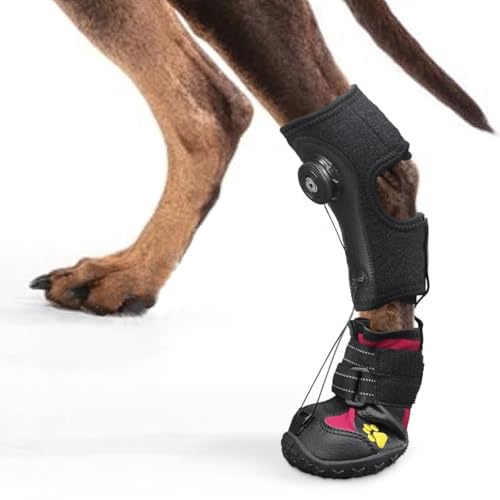 Fall-Fußbandage mit Rolle (ohne Knöchelbandage) für Hunde – Korrektive Hundeschuhe zum sicheren Anheben der Zehen bei Fußproblemen, Arthritis und Verbesserung des Gehgangs bei Hunden (XL) von HAGGEMI