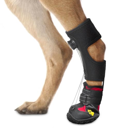 Fußbandage mit Rolle (ohne Knöchelbandage) für Hunde – Korrektive Hundeschuhe zum sicheren Anheben der Zehen zur Behandlung von Fußproblemen, Arthritis und zur Verbesserung des Gehgangs bei Hunden, von HAGGEMI