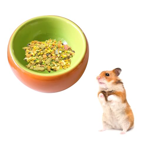 HAICN Hamster Futternäpfe Hamster Keramik Schüssel Verhindern Kauen Kleintiere Futter Schüssel Futternäpfe für Zwerghamster Rennmäuse Mäuse (Kiwifruit) von HAICN