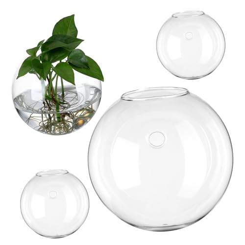 HAKIDZEL 4 Stück Glasvase Hängendes Terrarium Hängender Pflanztopf Terrarienpflanzenhalter Wand Vermehrung Pflanzen Terrarium Luft Ausbreitungsstationen Terrarienpflanzen Leben Dekor von HAKIDZEL