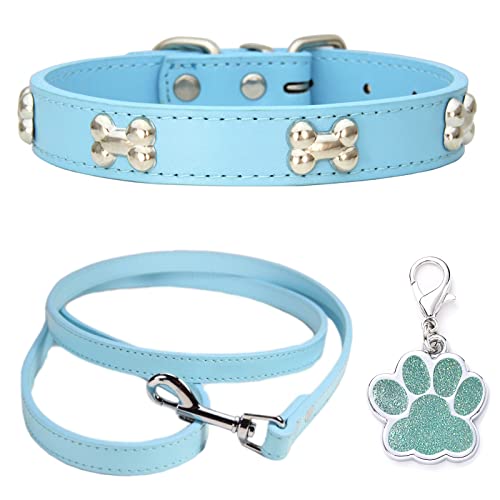 HALFSUMO Hundehalsband Leder Halsband Hundeleine Combo Set Hundehalsbänder Verstellbares Welpenhalsband für Kleine Mittelgroße Hunde Katzen Azurblau S von HALFSUMO