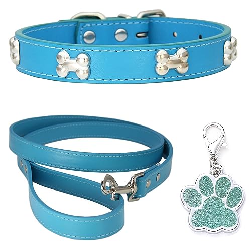 HALFSUMO Hundehalsband Leder Halsband Hundeleine Combo Set Hundehalsbänder Verstellbares Welpenhalsband für Kleine Mittelgroße Hunde Katzen Blauer See XS von HALFSUMO