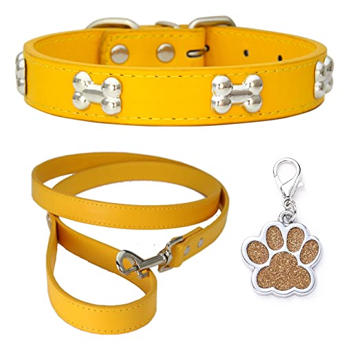 HALFSUMO Hundehalsband Leder Halsband Hundeleine Combo Set Hundehalsbänder Verstellbares Welpenhalsband für Kleine Mittelgroße Hunde Katzen Golden XS von HALFSUMO