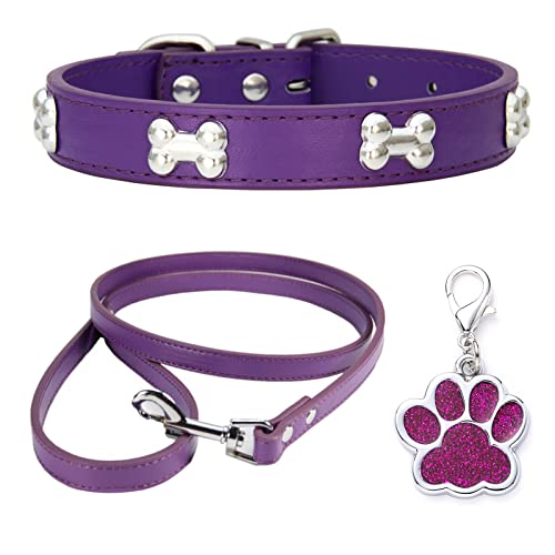 HALFSUMO Hundehalsband Leder Halsband Hundeleine Combo Set Hundehalsbänder Verstellbares Welpenhalsband für Kleine Mittelgroße Hunde Katzen Lila L von HALFSUMO