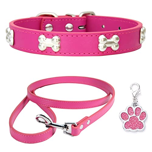 HALFSUMO Hundehalsband Leder Halsband Hundeleine Combo Set Hundehalsbänder Verstellbares Welpenhalsband für Kleine Mittelgroße Hunde Katzen Rose L von HALFSUMO