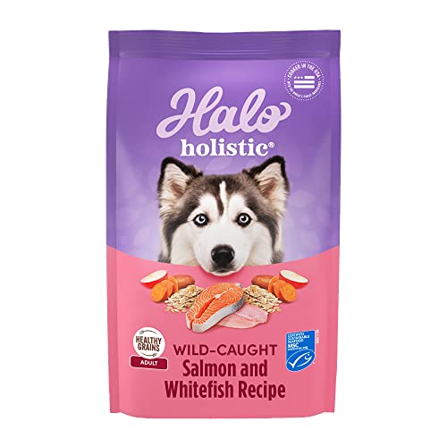 Keyoung Halo® Holistic Adult Dog Healthy Grains Wild-Caught Salmon & Whitefish Recipe 10 lb von HALO