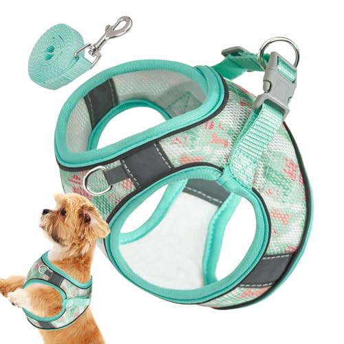 Hundegeschirr und Leine | Reflektierendes -Geschirr, atmungsaktives Hundegeschirr mit Griff,Leicht zu kontrollierende Leine, verstellbare, weich gepolsterte Weste für kleine mittelgroße von HAMIL