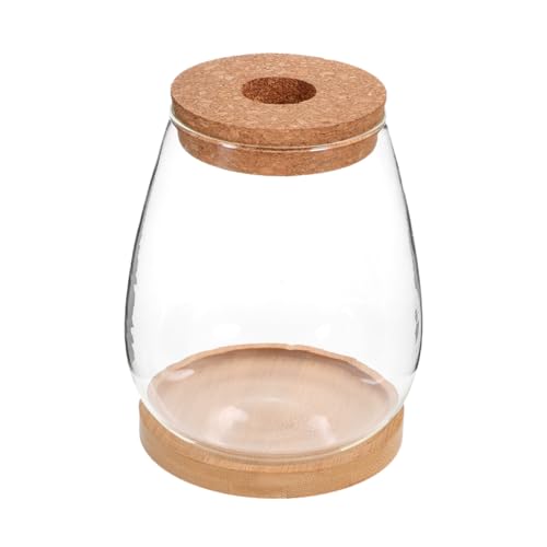 HANABASS 1 Set Hydrokultur Blumentopf Terrarientöpfe Für Pflanzen Vasen Mikrolandschaft DIY Flasche Moos Ökologische Flasche Dekorative Flasche Pflanzenflasche Transparente von HANABASS