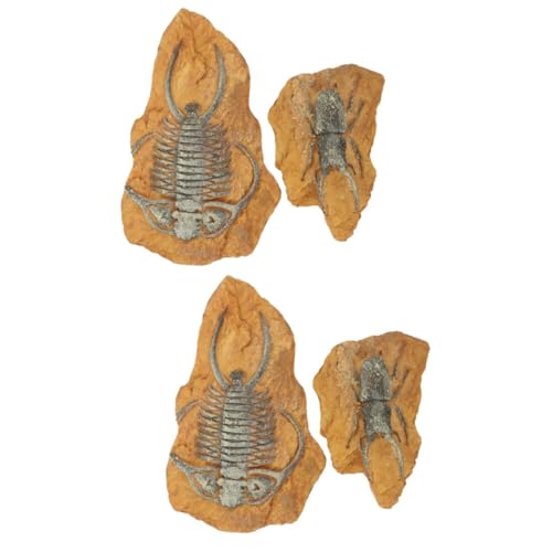 HANABASS 4 Stück simuliertes Harzfossil Sonnenplattform für Eidechsen Eidechsen-Reptilien-Dekore Reptile Decor Terrarium Decor Spielzeug dekorative Terrariendekore Krabbelterrarium Dekore von HANABASS