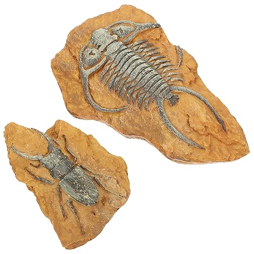 HANABASS 6 STK simuliertes Harzfossil Reptilienhaut Krabbelterrarium Dekore Gecko-Landschaft Reptile Decor Terrarium Decor Spielzeug Gecko-Reptilien-Dekore Reptiliendekore für Wohnkultur von HANABASS