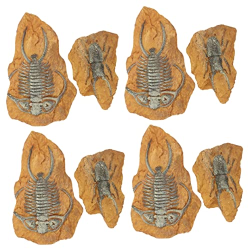 HANABASS 8 STK simuliertes Harzfossil kriechende Reptiliendekore Trilobiten-Ornament Reptile Decor Terrarium Decor Spielzeug Reptiliendekore für kleine Haustiere Landschaft für Wohnkultur von HANABASS