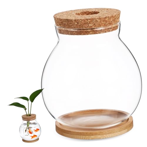 HANABASS Desktop-Fischglas Klares Glas Mini-Fischschalen Klares Hydrokultur-Pflanzen-Terrarium Für Betta-Fischpflanzen Terrarium Heimbüro-Dekoration von HANABASS