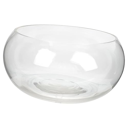 HANABASS Fischbecken aus Glas Fischglasvase kleines Aquarium Aquarium licht Desktop-Aquarium bürodeko büro Dekoration Schale Vase Hydrokultur-Pflanzschale Gewöhnliches Glas von HANABASS