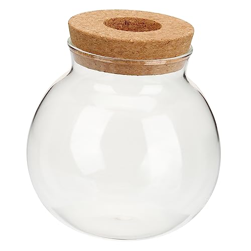 HANABASS Hydroponische Glasflasche Luftpflanzen Terrakotta Wandvase Gefälschte Pflanze System Vasen Schüssel Hydrokultur-vase Künstliche Pflanzen Globen Geräte Transparent Hölzern von HANABASS