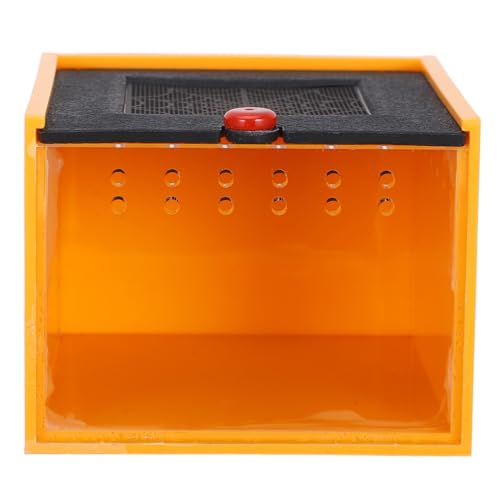 HANABASS Kasten Futterbox für Haustiere Spinnen-Terrarium Springender Spinnenlebensraum Spinnengehege Spinnen Box Reptilien Lebensraum Reptilienbecken Reptilien Zuchtbehälter Acryl Orange von HANABASS