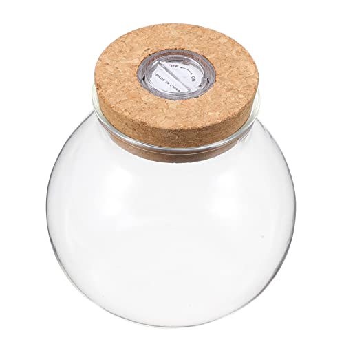 HANABASS Landschaftsflasche Transparentes Aquarium Hydroponisches Aquarium Kanister Aquarium Mini Dose Mit Korkdeckel Fischblasenlampe Einmachgläser Vorratsdose Fürs Badezimmer Uv Holz Weiß von HANABASS