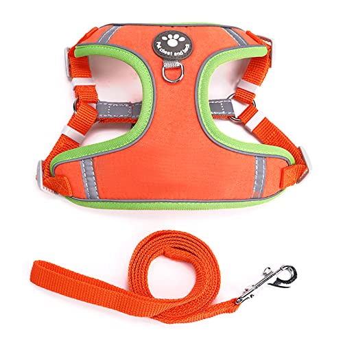 HANGSU Katzengeschirr Set mit Leine für kontrollierte Freiheit - weiches Geschirr - bequem, verstellbar und robust - Geschirr für aktive Katzen (Orange) von HANGSU