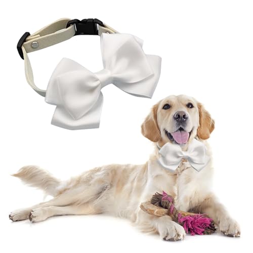 HANIUTTY Hundehalsband mit Fliege, Hunde Fliege Hochzeit Hundeanzug Hochzeit Formale Hochzeit Party Hund Hochzeit Bandana Halsband Hund für Kleine Mittel Hunde, für Hochzeiten/Geburtstage/Partys (M) von HANIUTTY