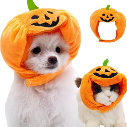 Halloween-Kürbishut für Haustiere, verstellbar, niedlich, orangefarben, Kätzchen, Kürbiskappe, Welpen, Party, Cosplay, lustige Haustier-Kopfbedeckung, Festival-Kopfschmuck für Katzen und kleine Hunde von HANSOM