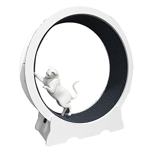 Spin Cat-Laufrad, Indoor-Katzen-Fitnessgerät zur Gewichtsreduktion, ideal for körperliche Aktivität und zur Reduzierung von Langeweile, weiße PVC-Polymerfolie(L) von HAODUOO