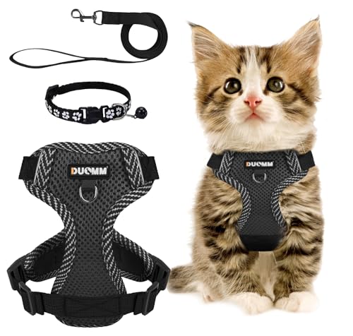 Katzengeschirr mit Leine Set, Verstellbares Katzengeschirr Ausbruchsicher mit Reflektierendes Geschirr, Atmungsaktive Katzengeschirr und Halsband Set für Hunde und Katzen auf Spaziergängen (L) von HAOLESHITE