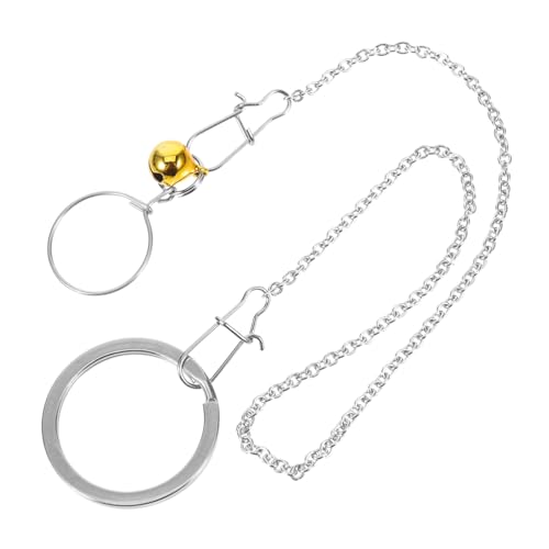 1 Satz Vogelhalsband Futterspender Hirse Träger Kragen Käfig Papageienhalsband Papageienhalskette Vogeltrainingskette Haustier Papageienkette Edelstahlkette Rostfreier Stahl Silver HAPINARY von HAPINARY