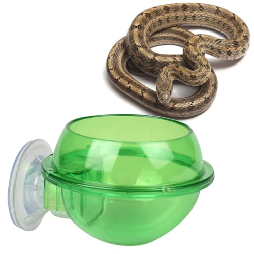 1Stk Futterspender für Eidechsenfutter Suction Cup saugnäpfe Haustierfutter futtercontainer Kleintierfutter Sucker Futterspender für Reptilien Kleiner Trinknapf für Haustiere Green HAPINARY von HAPINARY