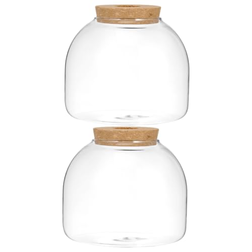 2st Ökologische Mikrolandschaftsflasche Fischpflanzen Terrarium Sukkulentenflasche Selber Machen Terrarium Pflanzentopf Luftpflanzen-displayhalter Desktop-sukkulentenflasche Holz HAPINARY von HAPINARY