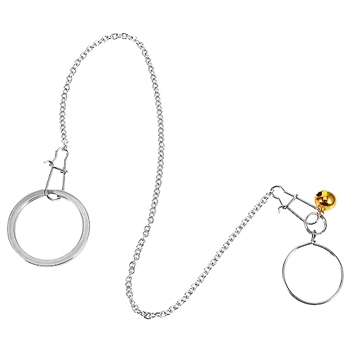 HAPINARY 1 Satz Vogelhalsband Kette Träger Futterspender Käfig Kragen Papageienhalsband Vogelleine Sittich Geschirr Trainingszubehör für Papageien Vogel-Halsband Rostfreier Stahl Silver von HAPINARY