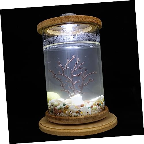 HAPINARY 1 Set Desktop Micro View Aquarium Kleine Künstliche Pflanzen Kunstpflanze Terrarium Sukkulenten Pflanzgefäße Fischglas Dekoration Haushalt Fischaquarium Desktop von HAPINARY