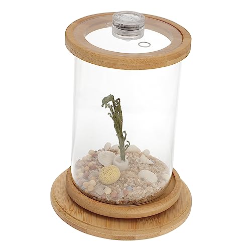 HAPINARY 1 Set Desktop Micro View Aquarium Starter Aquarium Hydrokultur Pflanze Terrarium Mini Aquarium Transparent Fisch Hydrokultur Reinigungstank Dekoration Haushalt Aquarium Tank Grün von HAPINARY