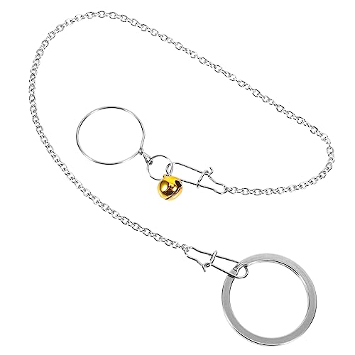 HAPINARY 1 Set Vogel Halsband Die Kette Hirse Papageienkäfigträger Wellensittich Vogel Trainingsgeschirr Edelstahl Kette Vogelleine Kette Vogelfliegenzug Leine Vogelhalsband von HAPINARY