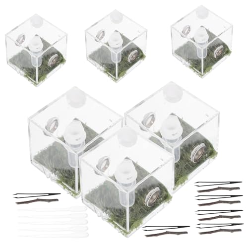 HAPINARY 10 Sets Praktische Fütterung Fall Spinne Gehäuse Box Acryl Spinne Terrarium Belüftung von HAPINARY