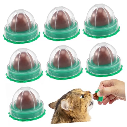 HAPINARY 20 STK Katze süßigkeiten lecken lecken spaß Leckerli-Sticks für Katzen Katze Katzenminze Ball Katzen saugnapf katzenurne leckereien für Katzen Kätzchen Snack für Haustiere Green von HAPINARY