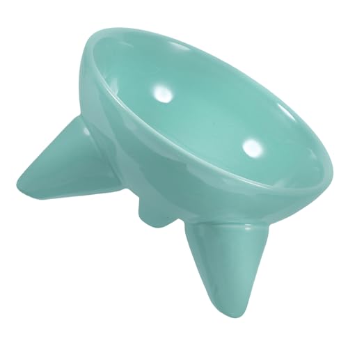 HAPINARY 2St Schräge Stativschale pet Water Bowl pet Supplies hundekot geneigter Tierfutternapf Futternapf für Welpen Katze erhöhter Katzennapf Fressnapf für Haustiere Keramik Light Green von HAPINARY