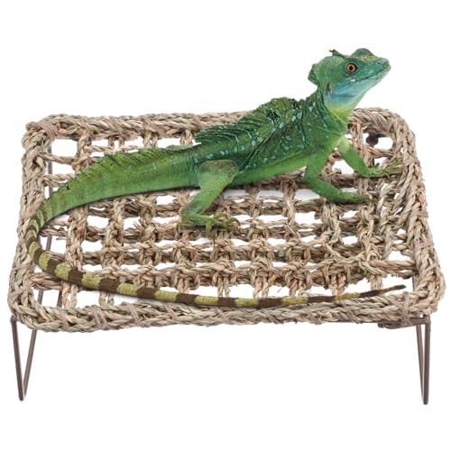 HAPINARY 2st Eidechsengrasmatte Reptilienbrücke Hängematte Eidechsenliege Reptilien-hängebett Kletterleiter Für Reptilien Bärtige Drache-panzerdekoration Eidechsenbett Stroh von HAPINARY