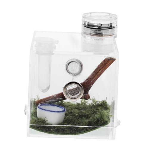 HAPINARY 3Er-Box Springspinnen-Zuchtbox Mini-Terrarium Vivarienbecken Sprungspinnengehege Haustierzaun Spinnenfutterbox Spinnenbeobachtungsbox gehäuse Spinnenträger Spinnenfall Keramik von HAPINARY