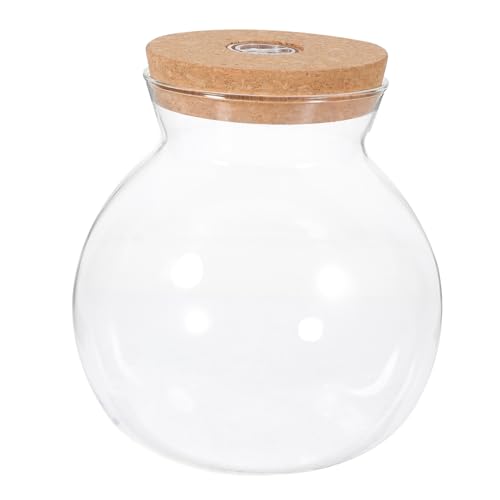 HAPINARY 3St Landschaftsflasche Minidosen mit Korkdeckel Blase Terrarium Licht wohnzimmerdeko wohnaccessoires Tisch-Pflanzenständer Glasflasche mit Deckel Landschaftsbastelflasche Holz Weiß von HAPINARY