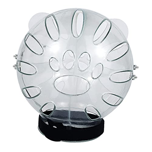 HAPINARY 3st Haustierraumhaube Katze Kätzchen Schnauze Anti-Biss-Helm Maske Klarer Helm Hundehelm Kätzchenhelm Abs Transparent von HAPINARY