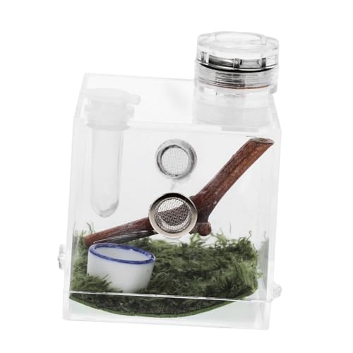 HAPINARY 4er-Box Springspinnen-zuchtbox Vogelspinnengehege Reptil Spinnenträger Haustierzaun Spinnen-Terrarium Springende Spinne Großes Terrarium Froschträger Mini-tierwächter Keramik von HAPINARY